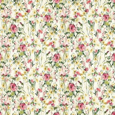 WILD MEADOW