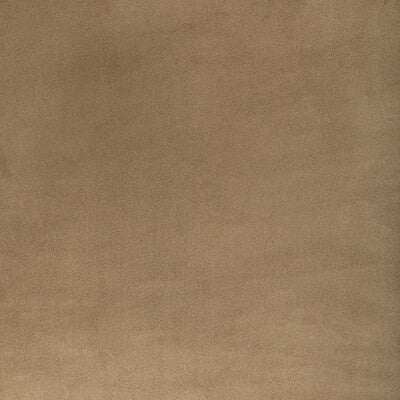 ROCCO VELVET