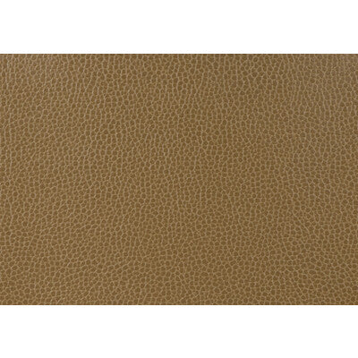 KRAVET DESIGN
