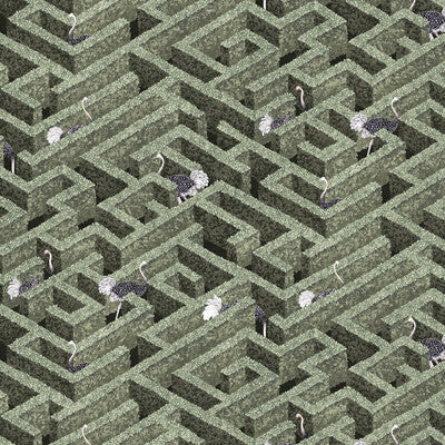 LABYRINTH WITH OSTRICHES