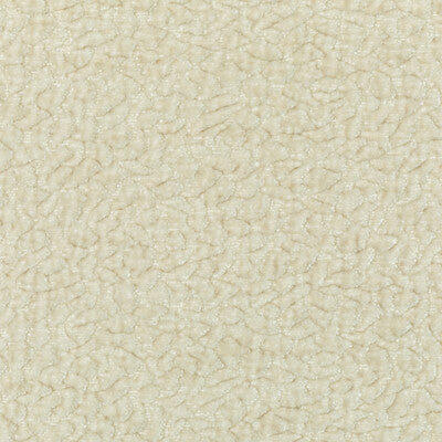 BARTON CHENILLE