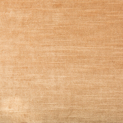 Kravet Design Ultrasuede Green Texture Fabric | Beige/Gold Polyester Blend Upholstery Fabric (55” Width)