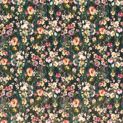 WILD MEADOW