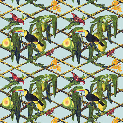 TUCAN