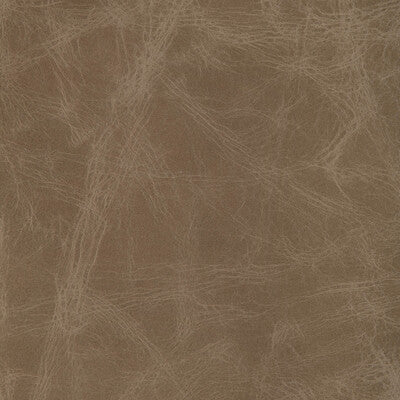 KRAVET DESIGN