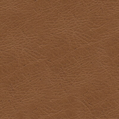 KRAVET DESIGN