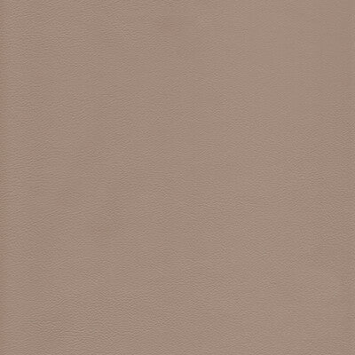 KRAVET DESIGN