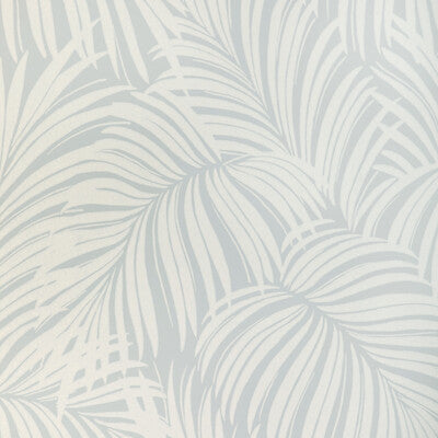 PALM LEAF WP