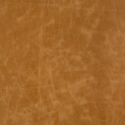 KRAVET BASICS