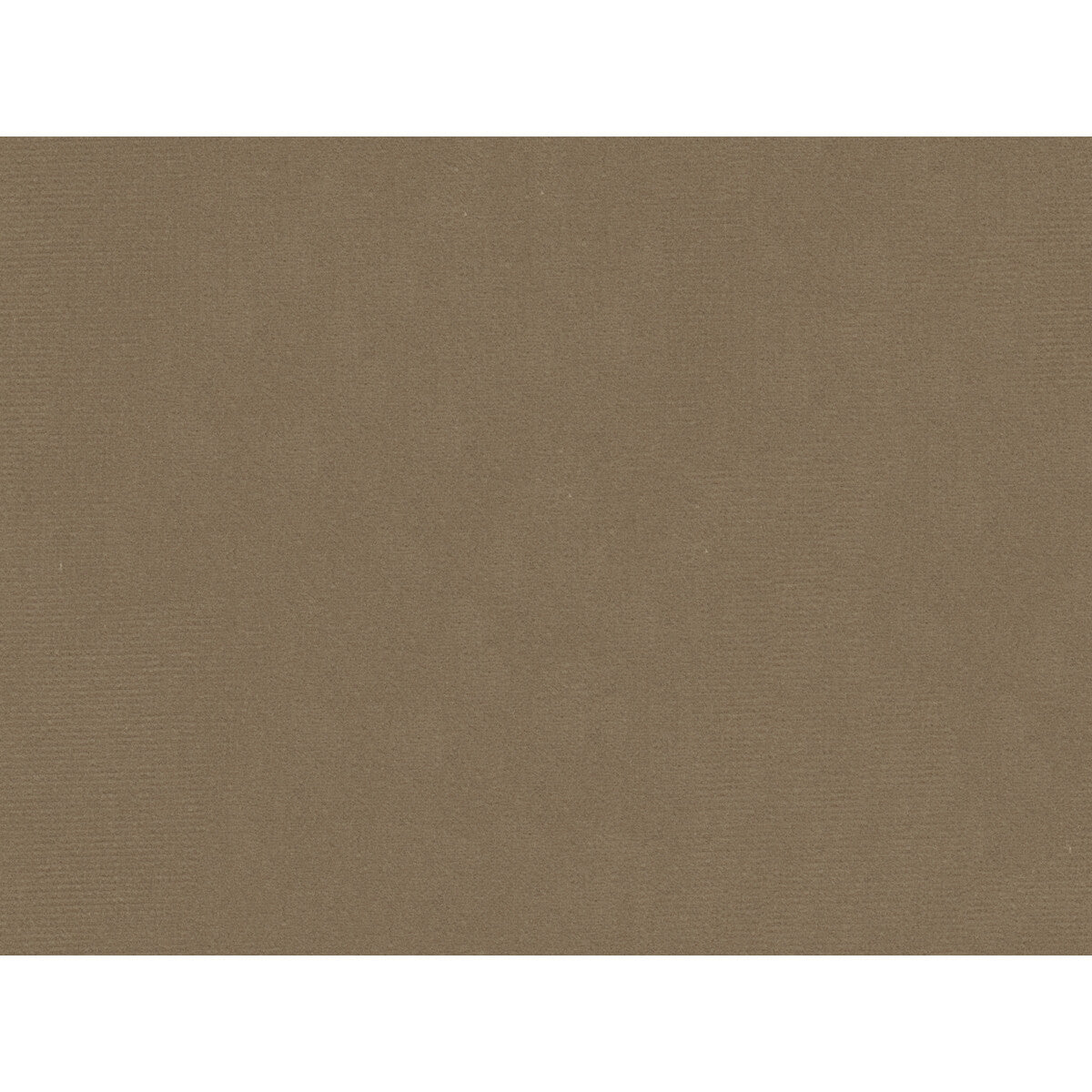 Kravet Couture Statuesque Texture Fabric – Light Grey & Beige 100% Cotton Luxury Upholstery Fabric (55" Width)