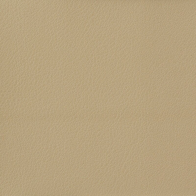KRAVET BASICS