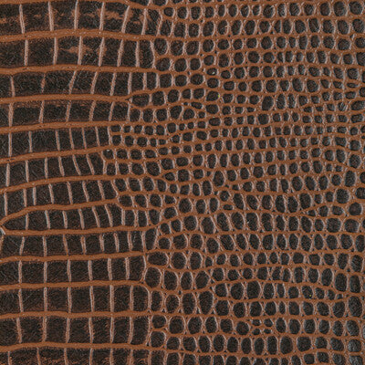 KRAVET DESIGN