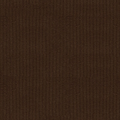 L-CHAPETTE