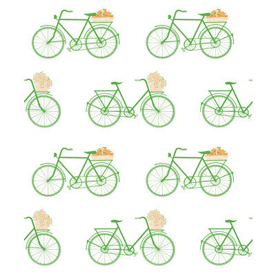 BICICLETAS