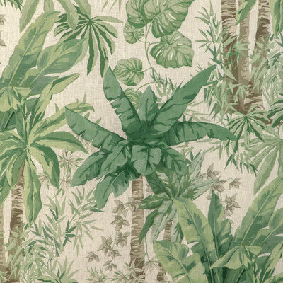 JUNGLEWOOD