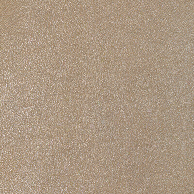 KRAVET DESIGN