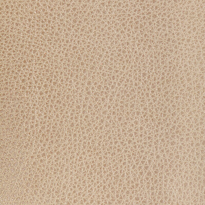 KRAVET DESIGN