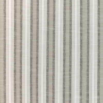 SIMS STRIPE