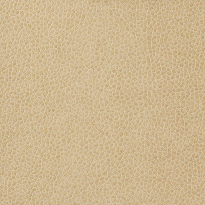 KRAVET BASICS