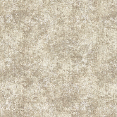 PITTURA