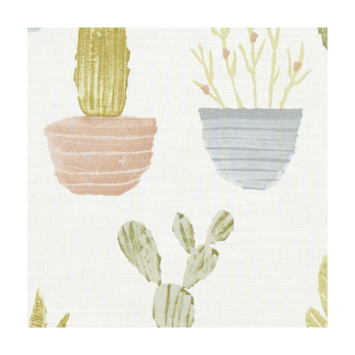 CACTUS