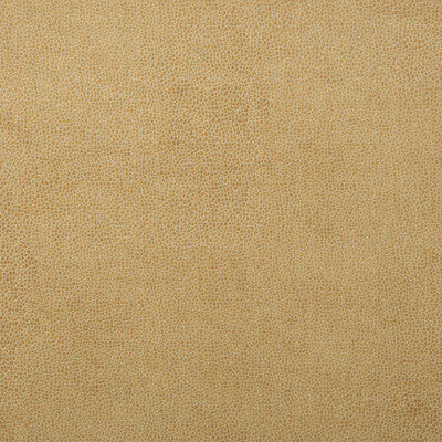 KRAVET DESIGN