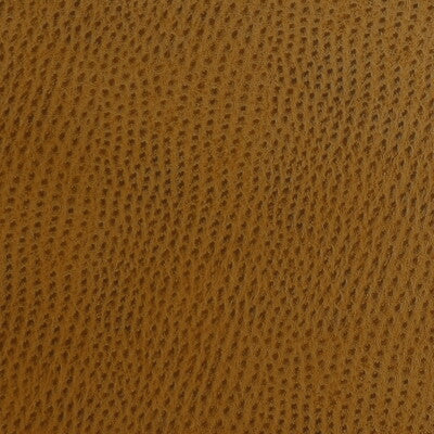 KRAVET DESIGN