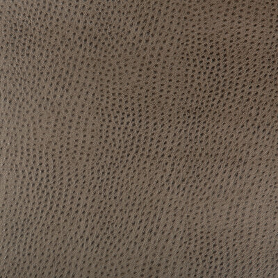 KRAVET DESIGN