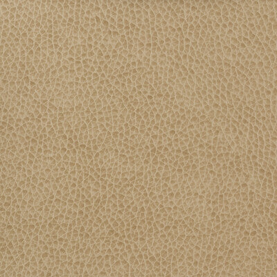 KRAVET BASICS