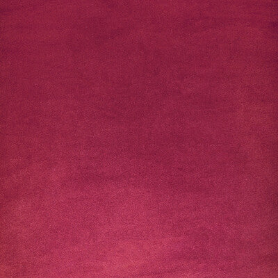 ROCCO VELVET
