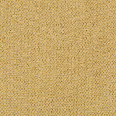 LIMA