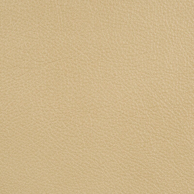 KRAVET DESIGN