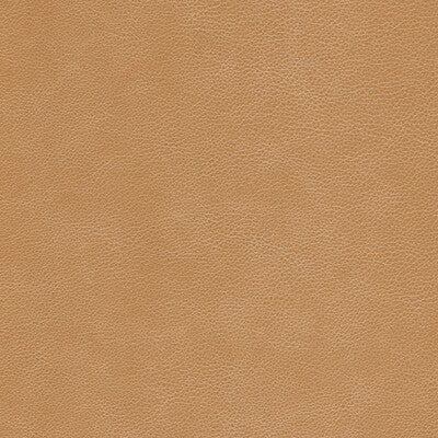 KRAVET DESIGN
