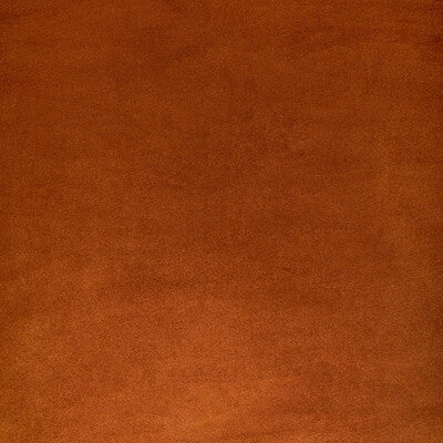 ROCCO VELVET