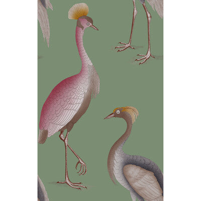 GARZAS
