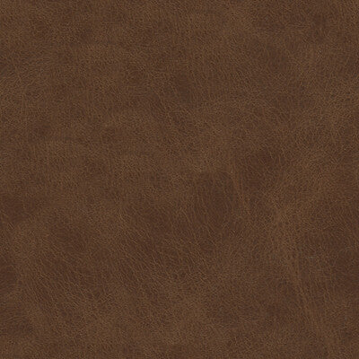 KRAVET DESIGN