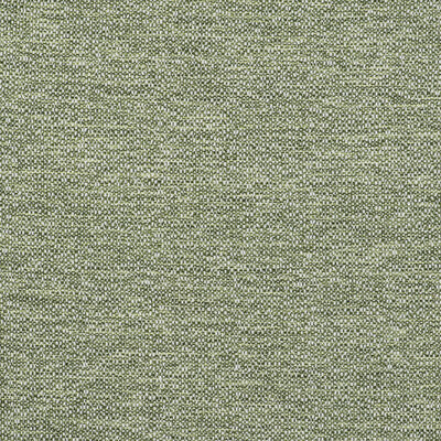 IN