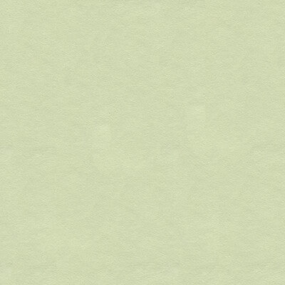 ULTRASUEDE GREEN