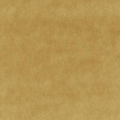 KRAVET BASICS