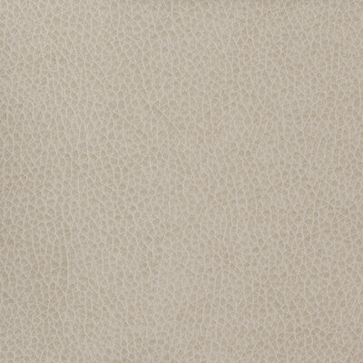 KRAVET BASICS
