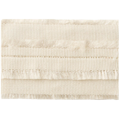 FRINGED BORDER