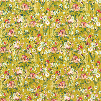 WILD MEADOW