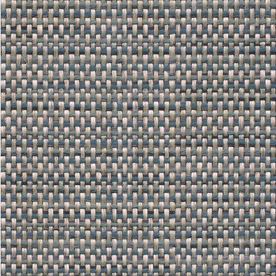 DOMAIN