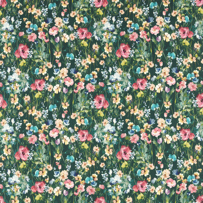 WILD MEADOW