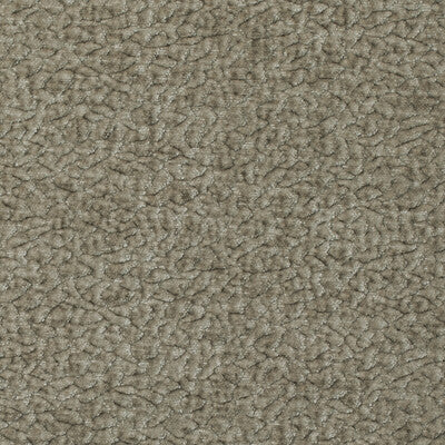 BARTON CHENILLE