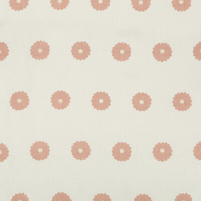 KRAVET BASICS