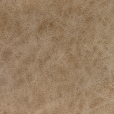KRAVET DESIGN