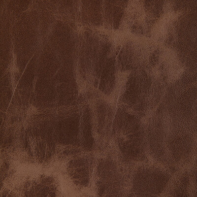 KRAVET DESIGN