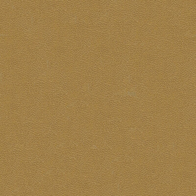 KRAVET DESIGN