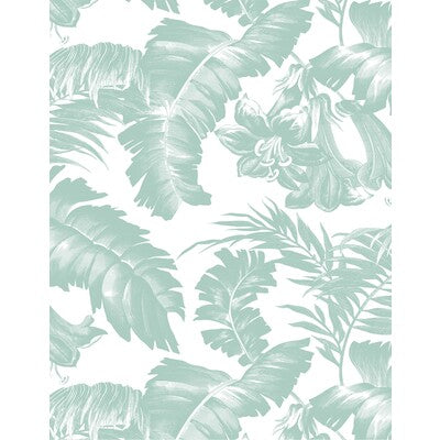 PLANTATION